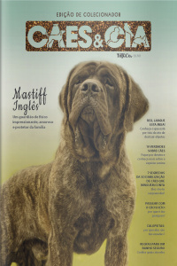 Cães e Cia Ed. 503 - Mastiff Inglês: Um guardião de físico impressionante, amoroso e protetor da família