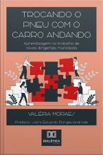 Trocando O Pneu Com O Carro Andando: Aprendizagem No Trabalho De Novos Dirigentes Municipais