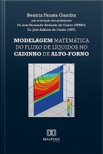 Modelagem Matemática Do Fluxo De Líquidos No Cadinho De Alto-forno
