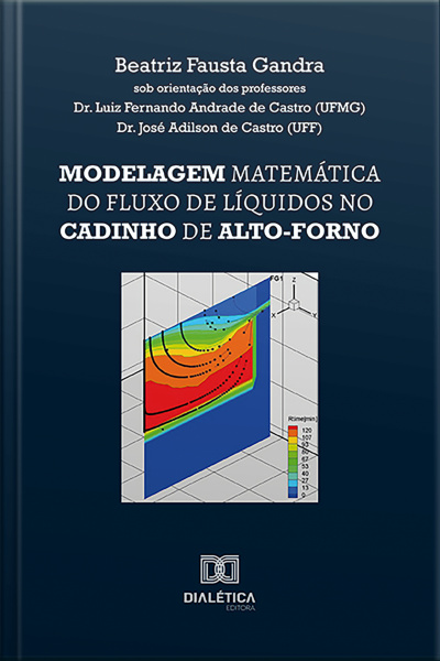Modelagem Matemática Do Fluxo De Líquidos No Cadinho De Alto-forno
