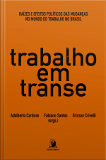 Trabalho Em Transe: Raízes E Efeitos Políticos Das Mudanças No Mundo Do Trabalho No Brasil