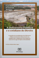 A Defensoria Pública E O Cotidiano Do Direito: A Memória Dos Atendimentos Dos Defensores Públicos Do Estado De Minas Gerais Aos Atingidos Pelo Rompimento Da Barragem Da Mina Do Córrego Do Feijão Em Brumadinho