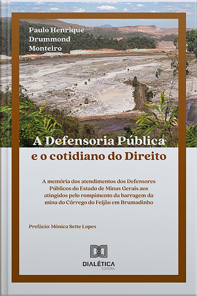 A Defensoria Pública E O Cotidiano Do Direito: A Memória Dos Atendimentos Dos Defensores Públicos Do Estado De Minas Gerais Aos Atingidos Pelo Rompimento Da Barragem Da Mina Do Córrego Do Feijão Em Brumadinho