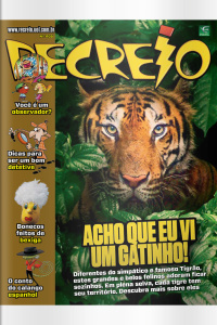 Revista Recreio - Edição 1105