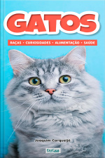 Minibook Gatos