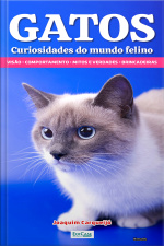 Minibook Gatos Curiosidades do Mundo Felino