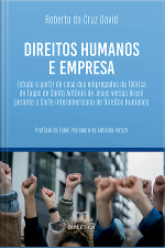 Direitos Humanos E Empresa: Estudo A Partir Do Caso Dos Empregados Da Fábrica De Fogos De Santo Antônio De Jesus Versus Brasil Perante A Corte Interamericana De Direitos Humanos