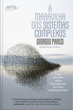 A Maravilha Dos Sistemas Complexos: Uma Jornada Pelas Descobertas Da Física Contemporânea