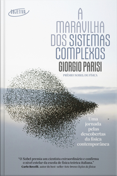 A Maravilha Dos Sistemas Complexos: Uma Jornada Pelas Descobertas Da Física Contemporânea