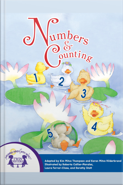 Numbers  Counting Collection