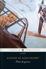 Piloto De Guerra