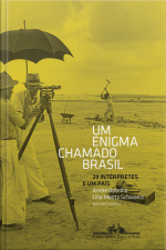 Um Enigma Chamado Brasil: 29 Intérpretes E Um País