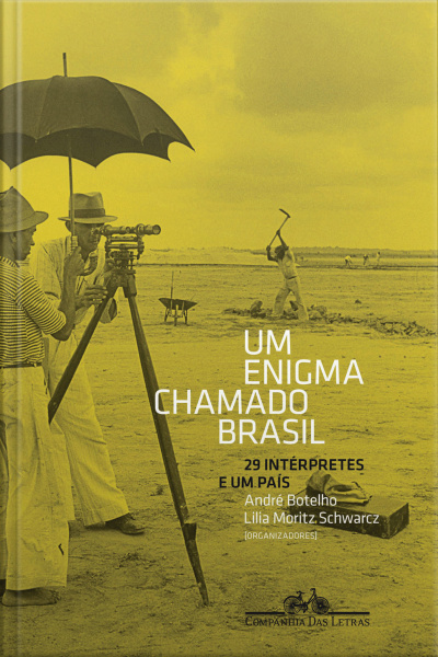 Um Enigma Chamado Brasil: 29 Intérpretes E Um País