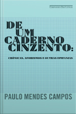 De Um Caderno Cinzento: Crônicas, Aforismos E Outras Epifanias