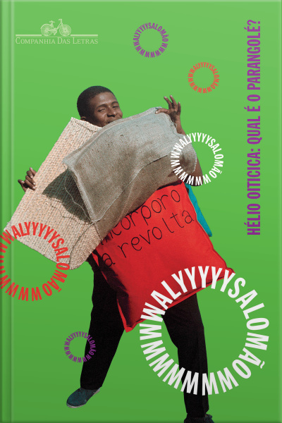 Hélio Oiticica: Qual É O Parangolé? – E Outros Escritos