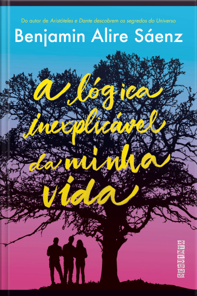 A Lógica Inexplicável Da Minha Vida