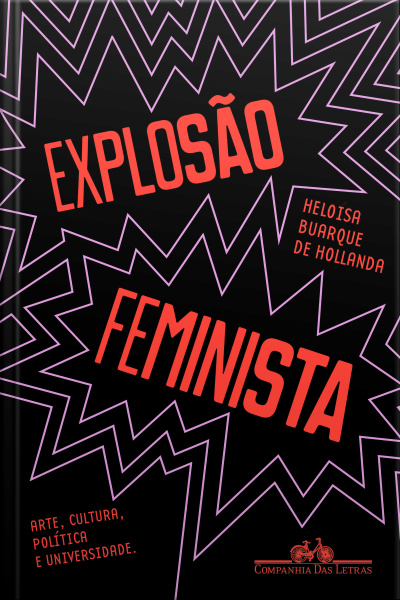 Explosão Feminista: Arte, Cultura, Política E Universidade
