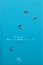 A Poesia Das Coisas Simples