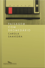 Paisagem Com Dromedário