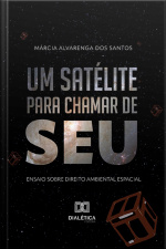 Um Satélite Para Chamar De Seu: Ensaio Sobre Direito Ambiental Espacial