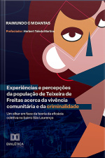 Experiências E Percepções Da População De Teixeira De Freitas Acerca Da Vivência Comunitária E Da Criminalidade: Um Olhar Em Face Da Teoria Da Eficácia Coletiva No Bairro São Lourenço