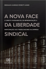 A Nova Face Da Liberdade Sindical: O Direito Fundamental De Representação E Participação Dos Trabalhadores Na Empresa