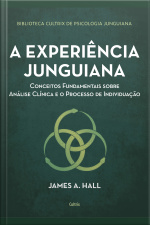 A Experiência Junguiana: Conceitos Fundamentais Sobre Análise Clínica E O Processo De Individuação