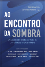 Ao Encontro Da Sombra: Um Estudo Sobre O Potencial Oculto Do Lado Escuro Da Natureza Humana