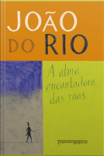 A Alma Encantadora Das Ruas: Crônicas
