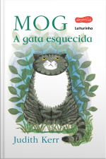 Mog - A Gata Esquecida