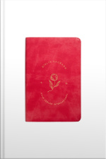 Bíblia Sagrada, Letra Grande, Rosado, Nova Versão Internacional