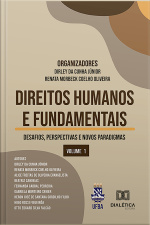 Direitos Humanos E Fundamentais: Desafios, Perspectivas E Novos Paradigmas