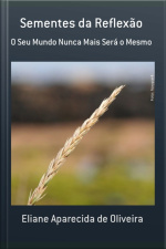 Sementes Da Reflexão