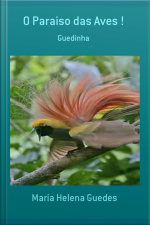 O Paraiso Das Aves !