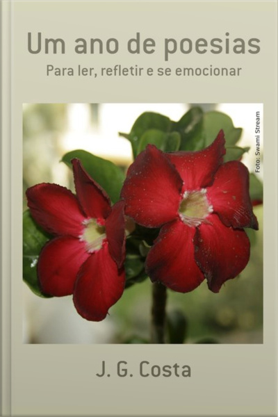 Um Ano De Poesias