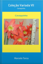 Coleção Variada Vii