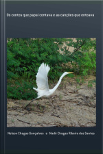 Os Contos Que Papai Contava E As Canções Que Entoava