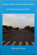 Avenidas Paulista, Camélias E General Vargas