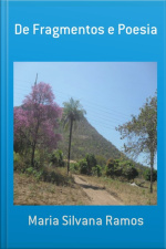 De Fragmentos E Poesia