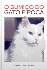 O Sumiço Do Gato Pipoca