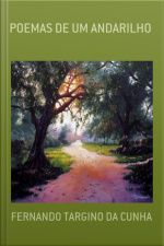 Poemas De Um Andarilho