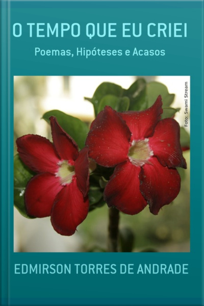 O Tempo Que Eu Criei