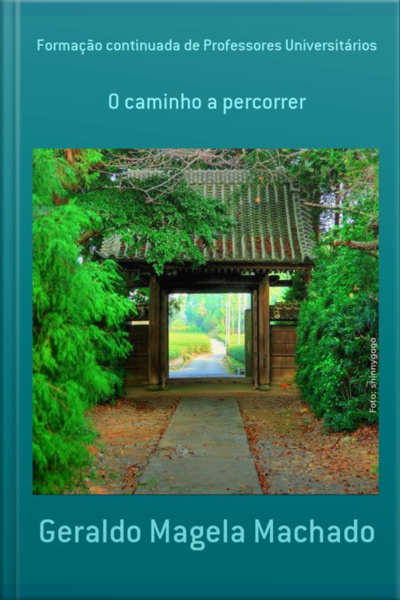 Formação Continuada De Professores Universitários