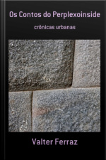 Os Contos Do Perplexoinside