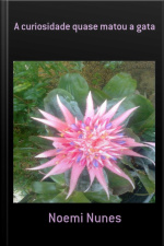 A Curiosidade Quase Matou A Gata