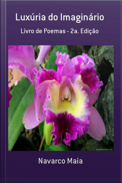 Luxúria Do Imaginário