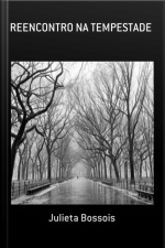 Reencontro Na Tempestade