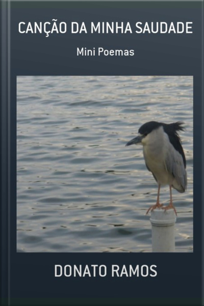 Canção Da Minha Saudade