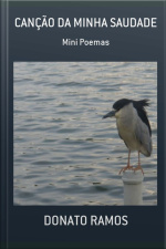 Canção Da Minha Saudade