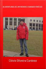 As Aventuras De Um Menino Chamado Vinícius